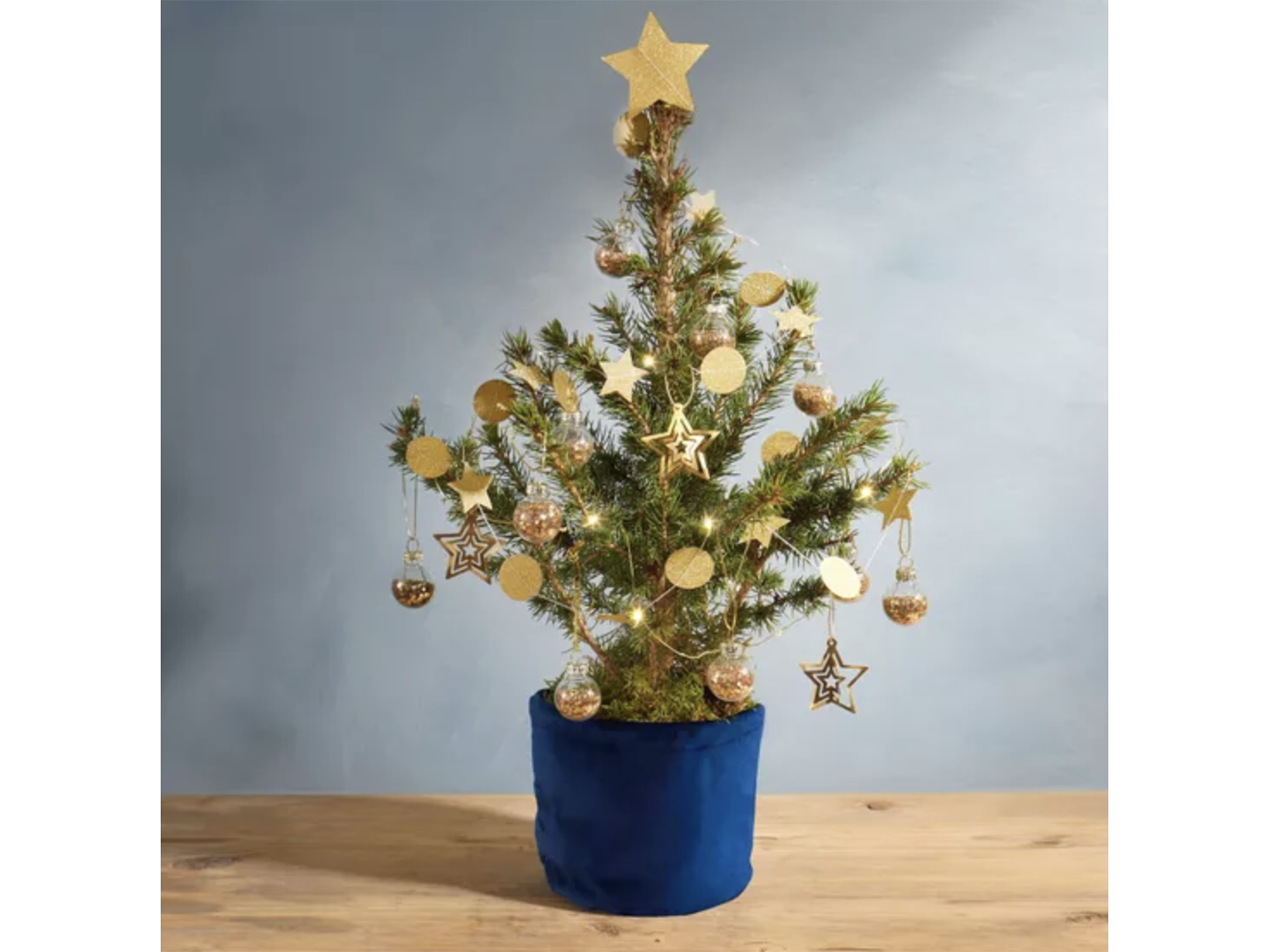 Bloom and wild shop christmas tree